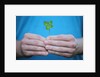 Man holding four-leaf clover by Anonymous