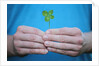 Man holding four-leaf clover by Anonymous