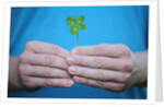 Man holding four-leaf clover by Anonymous