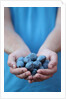 Man in blue t-shirt holds plum fruits in his palms by Anonymous