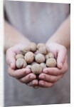 Man in khaki t-shirt holds walnuts in his palms by Anonymous