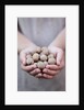 Man in khaki t-shirt holds walnuts in his palms by Anonymous