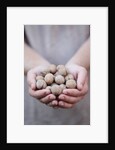 Man in khaki t-shirt holds walnuts in his palms by Anonymous