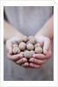 Man in khaki t-shirt holds walnuts in his palms by Anonymous