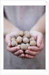 Man in khaki t-shirt holds walnuts in his palms by Anonymous