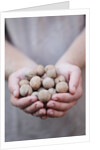 Man in khaki t-shirt holds walnuts in his palms by Anonymous