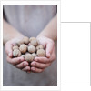 Man in khaki t-shirt holds walnuts in his palms by Anonymous