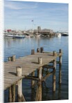 The Harbor by Anonymous