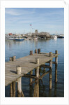 The Harbor by Anonymous
