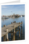 The Harbor by Anonymous