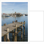 The Harbor by Anonymous