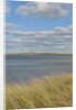 Matches Harbor by Anonymous