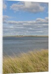 Matches Harbor by Anonymous