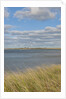 Matches Harbor by Anonymous