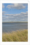 Matches Harbor by Anonymous