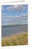 Matches Harbor by Anonymous