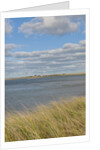 Matches Harbor by Anonymous