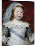 Portrait of the Dauphin, the future Louis XIV by Claude Deruet