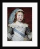 Portrait of the Dauphin, the future Louis XIV by Claude Deruet