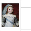 Portrait of the Dauphin, the future Louis XIV by Claude Deruet