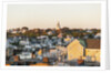 View of Nantucket village by Anonymous