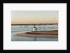 Brant Point Lighthouse by Anonymous