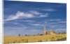 View of the Cathedral by Anonymous