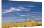 View of the Cathedral by Anonymous