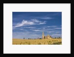 View of the Cathedral by Anonymous
