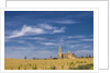 View of the Cathedral by Anonymous