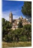 The Cathedral and the town by Anonymous