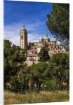 The Cathedral and the town by Anonymous