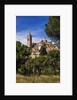 The Cathedral and the town by Anonymous