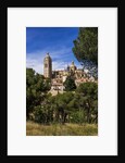 The Cathedral and the town by Anonymous