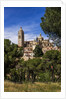 The Cathedral and the town by Anonymous