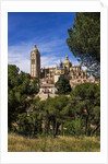 The Cathedral and the town by Anonymous