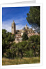 The Cathedral and the town by Anonymous