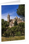 The Cathedral and the town by Anonymous