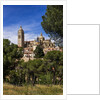 The Cathedral and the town by Anonymous