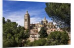 The Cathedral and the town by Anonymous