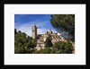 The Cathedral and the town by Anonymous