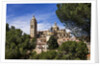 The Cathedral and the town by Anonymous