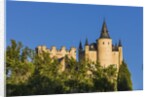 View of the AlcÃƒÂ¡zar (Castle) de Segovia by Anonymous