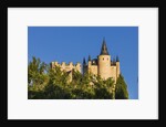 View of the AlcÃƒÂ¡zar (Castle) de Segovia by Anonymous