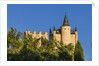 View of the AlcÃƒÂ¡zar (Castle) de Segovia by Anonymous