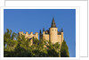 View of the AlcÃƒÂ¡zar (Castle) de Segovia by Anonymous