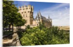 View of the AlcÃƒÂ¡zar (Castle) de Segovia by Anonymous