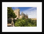 View of the AlcÃƒÂ¡zar (Castle) de Segovia by Anonymous