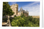 View of the AlcÃƒÂ¡zar (Castle) de Segovia by Anonymous