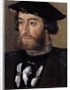 Portrait of Guillaume de Bellay, Lord of Langey by Anonymous